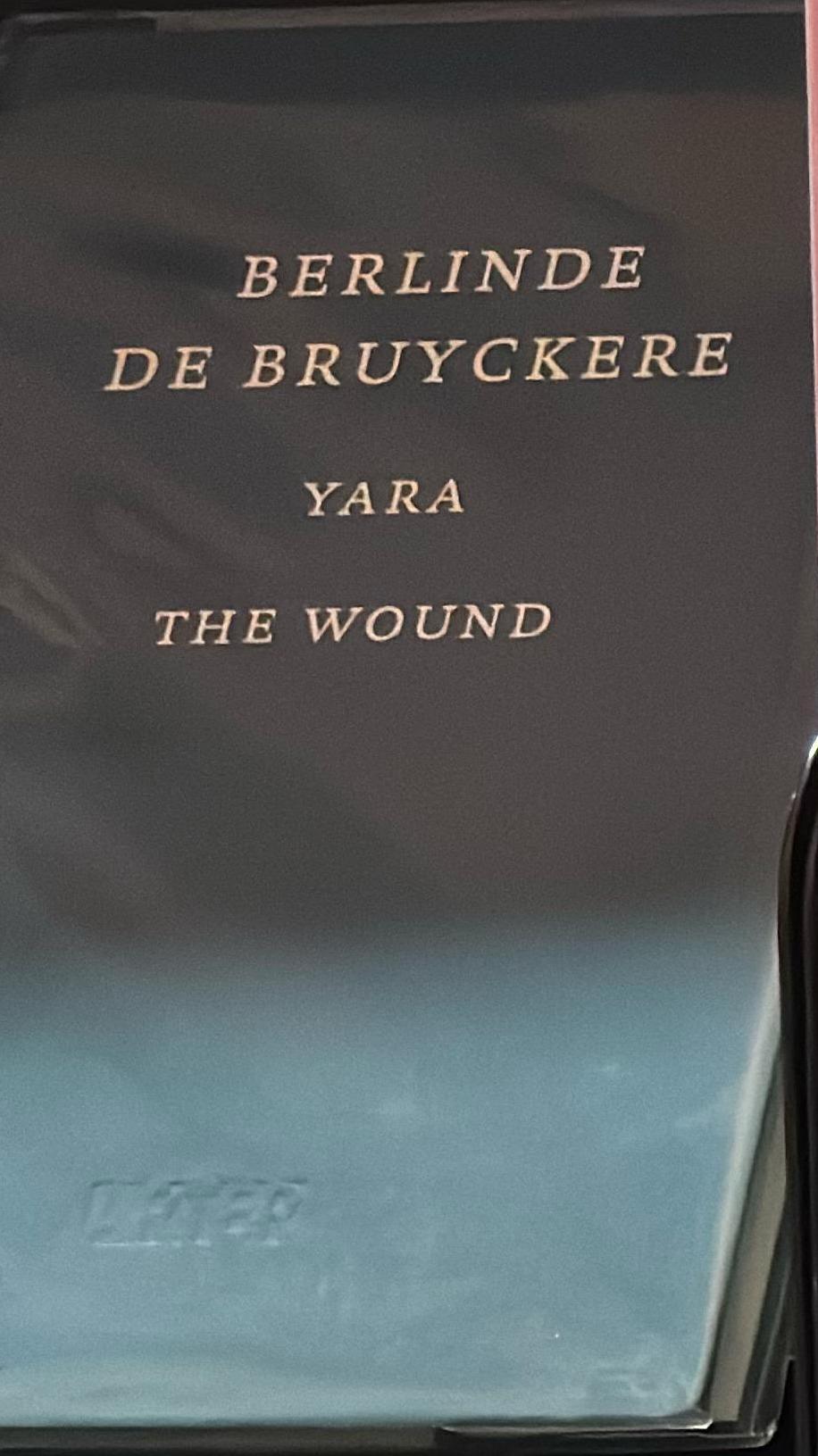 Berlinde de Bruyckere : yara : the wound / curator Selen Ansen ; managing editor, Ílkay Baliç spine