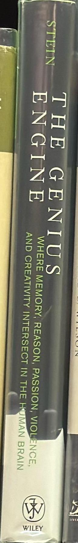 The genius engine : where memory, reason, passion, violence and creativity intersect in the human brain spine