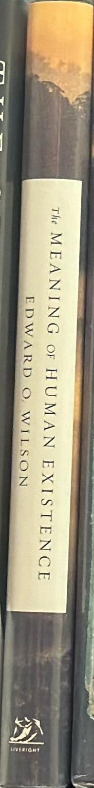 The meaning of human existence spine