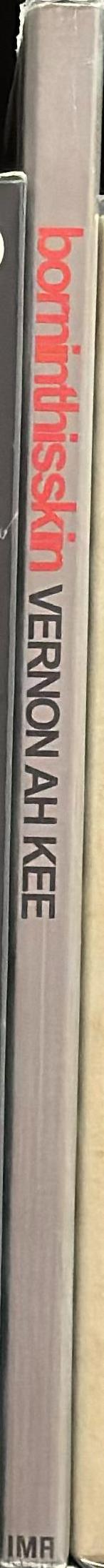 Vernon Ah Kee : born in this skin spine