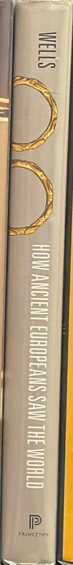 How ancient Europeans saw the world : vision, patterns and the shaping of the mind in prehistoric times spine