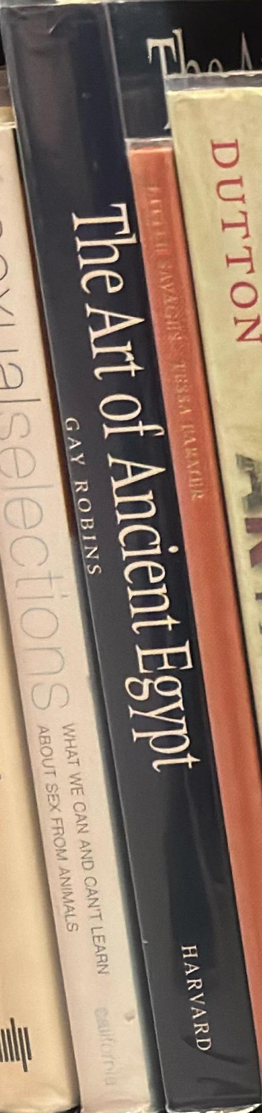 The art of ancient Egypt spine