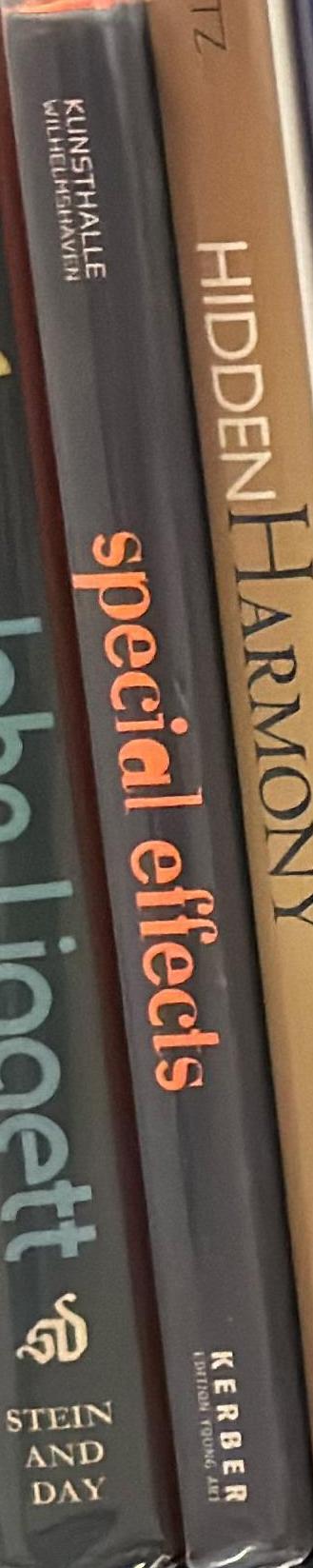 Special effects : deception of the eye -special effects in contemporary art / Viola Weigel spine