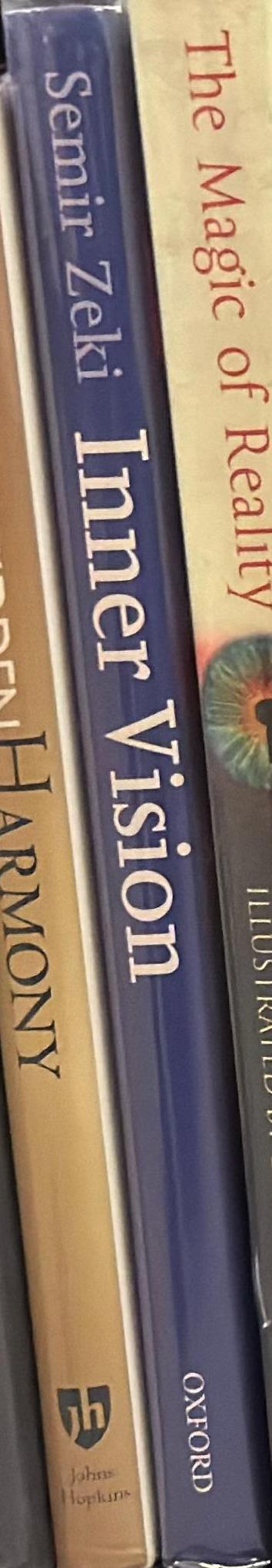 Inner vision : an exploration of art and the brain spine