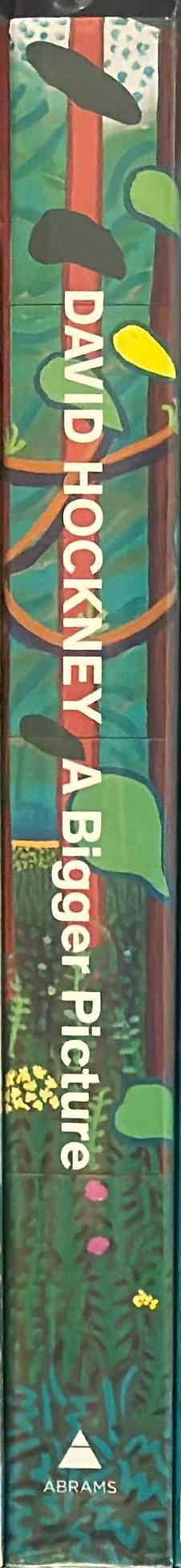 David Hockney : a bigger picture spine