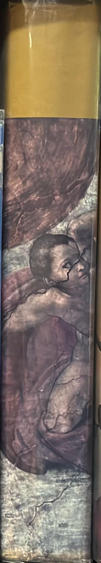 The complete work of Michelangelo spine