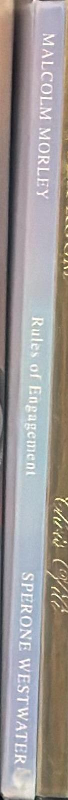 Malcolm Morley : rules of engagement spine