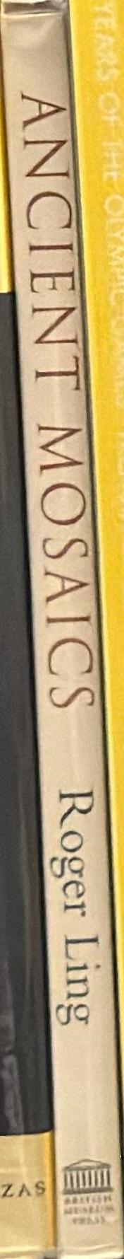 Ancient mosaics spine