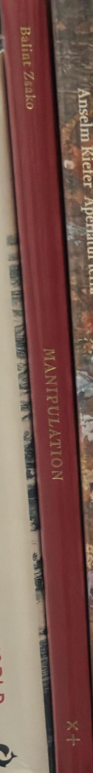 Manipulation / Balint Zsako ; [introduction by David Walsh] spine