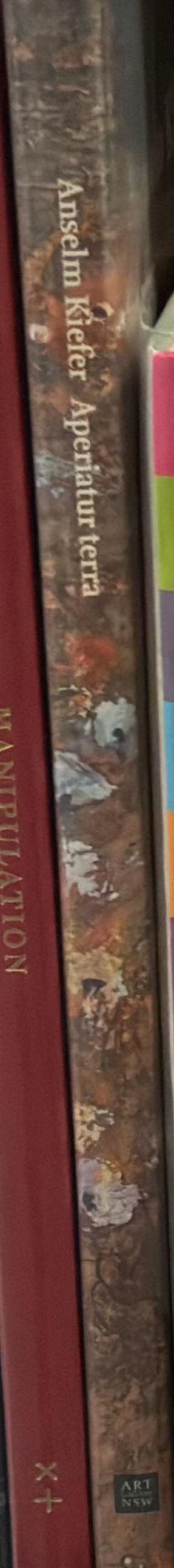 Anselm Kiefer : Aperiatur terra : aperiatur terra et germinet salvatorem et iustita oriatur simul spine