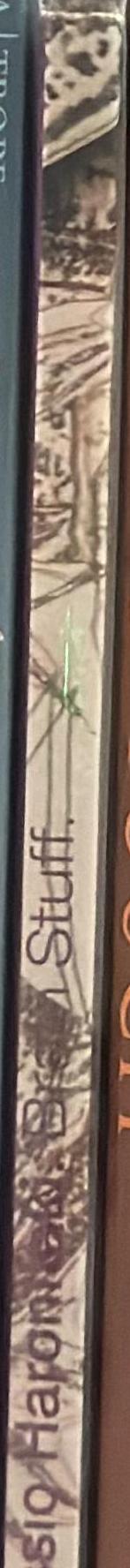 Aspassio Haronitaki : brain stuff spine