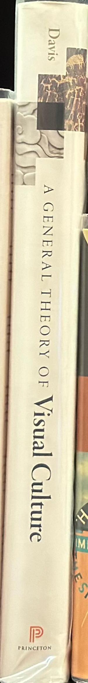 A general theory of visual culture spine