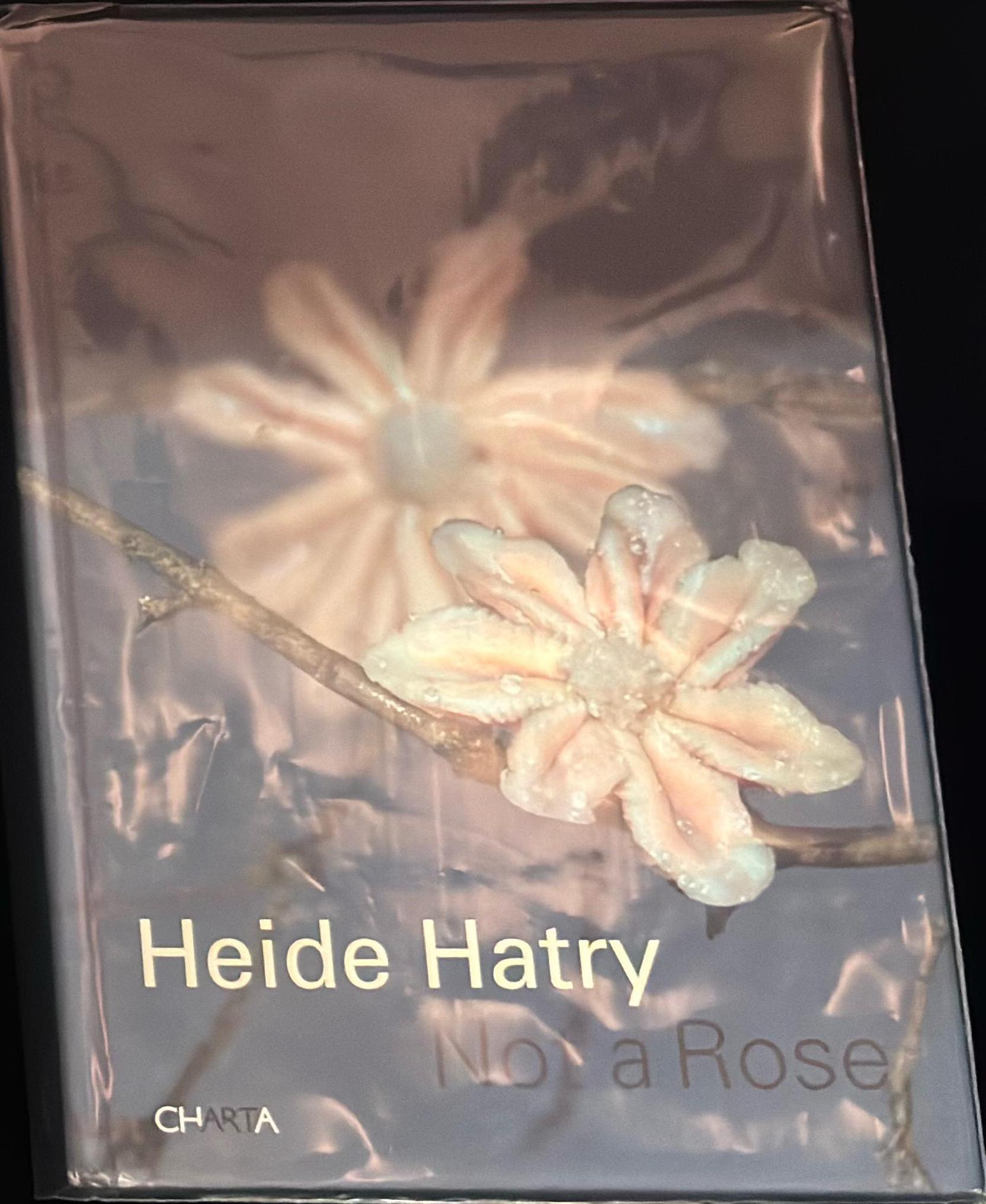 Heide Hatry : not a rose spine