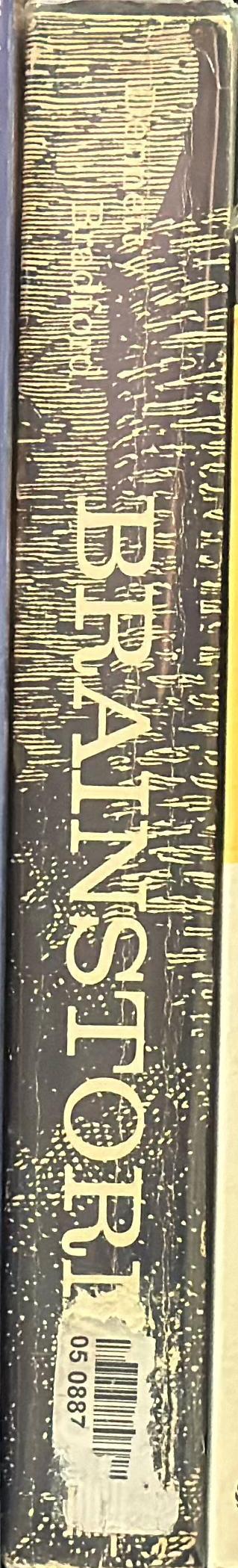 Brainstorms : philosophical essays on mind and psychology spine