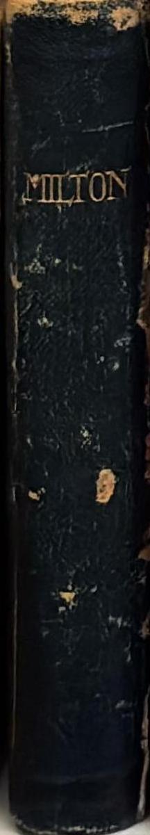 Francesco Vezzoli spine