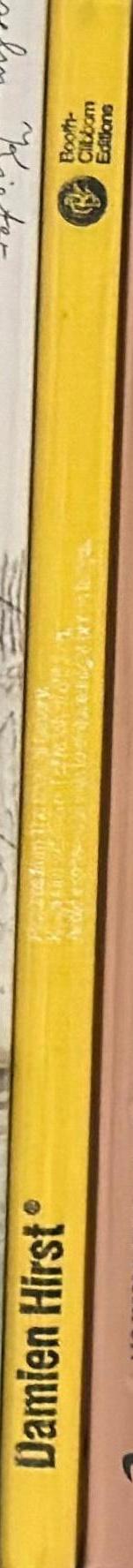 Damien Hirst : pictures from the Saatchi Gallery spine