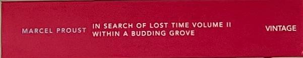 In Search of Lost Time: Swann's Way, Volume 1 spine