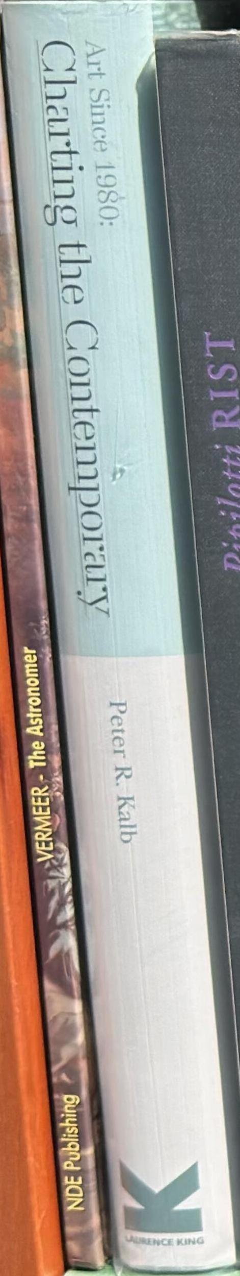 Art since 1980 : charting the contemporary / Peter R. Kalb spine