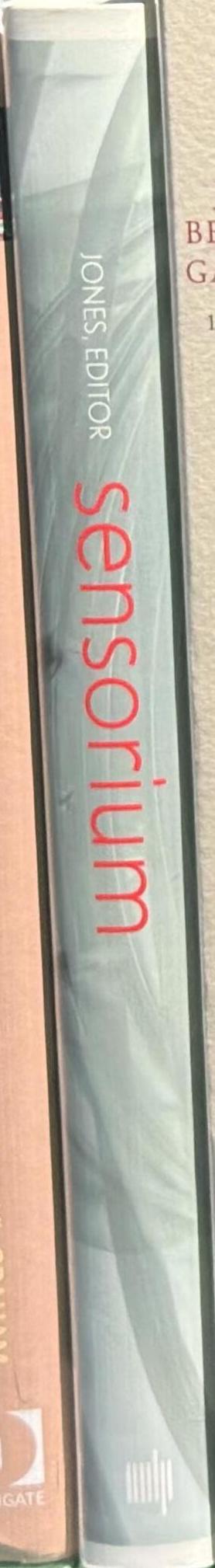 Sensorium : embodied experience, technology and contemporary art spine