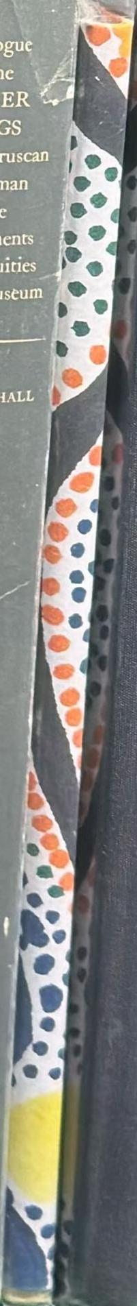 The world is not a foreign land spine