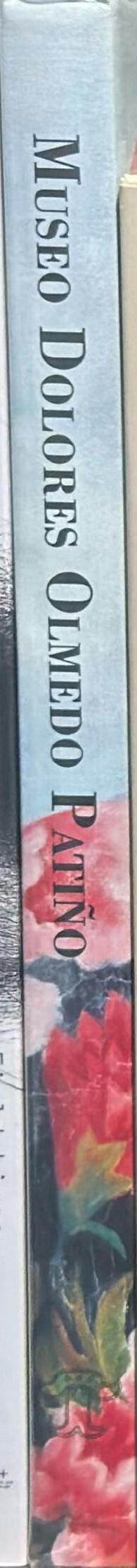 Museo Dolores Olmedo Patino spine