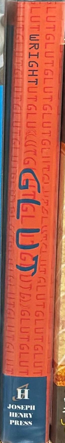 Glut : mastering information through the ages spine