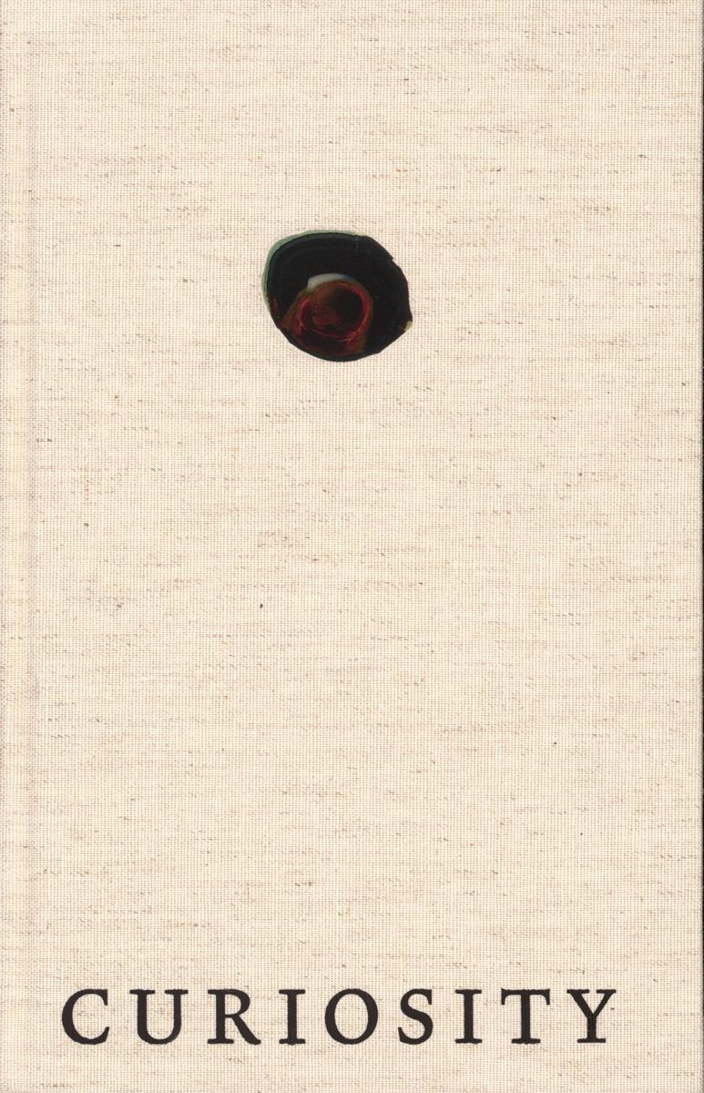 Curiosity : art and the pleasures of knowing cover