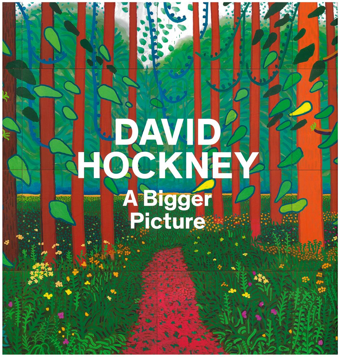 David Hockney : a bigger picture cover