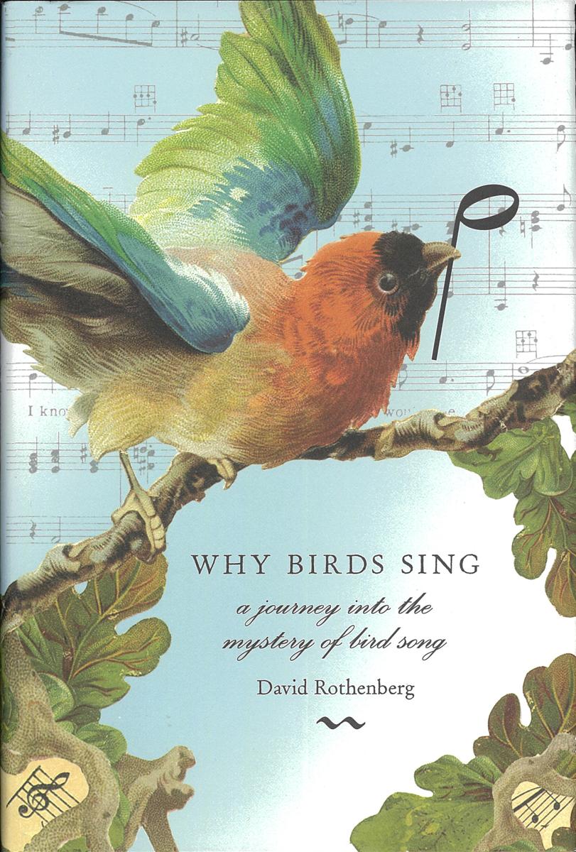 Why birds sing : a journey through the mystery of bird song / David Rothenberg cover