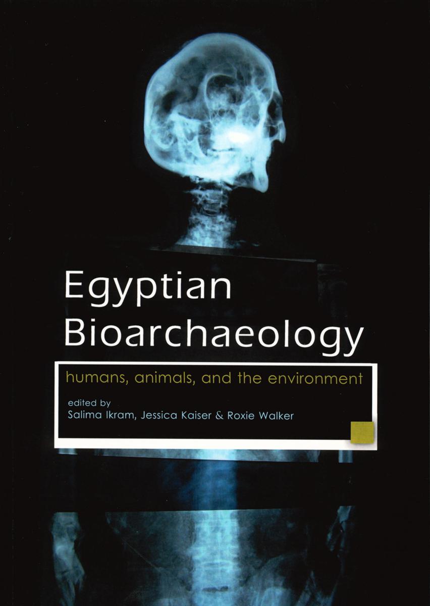 Egyptian bioarchaeology : humans, animals, and the environment cover
