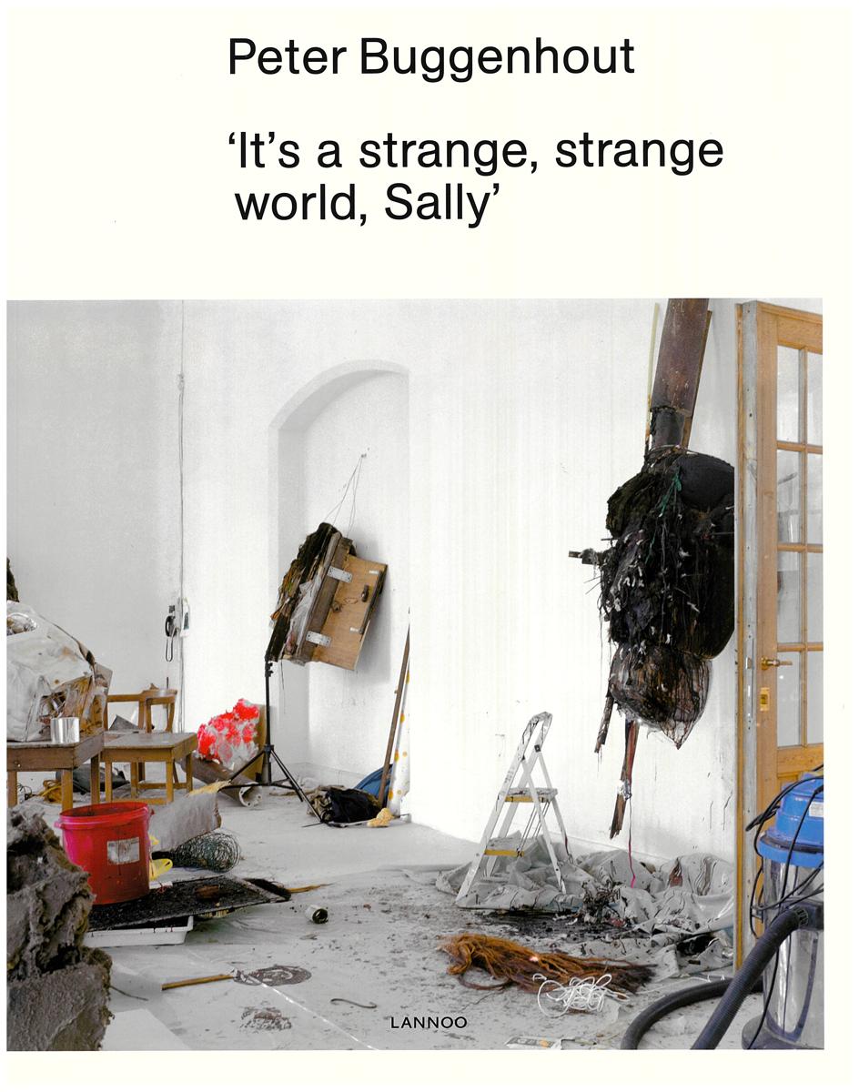 It's a strange, strange word, 'Sally' : recent sculptures and installations by Peter Buggenhout cover