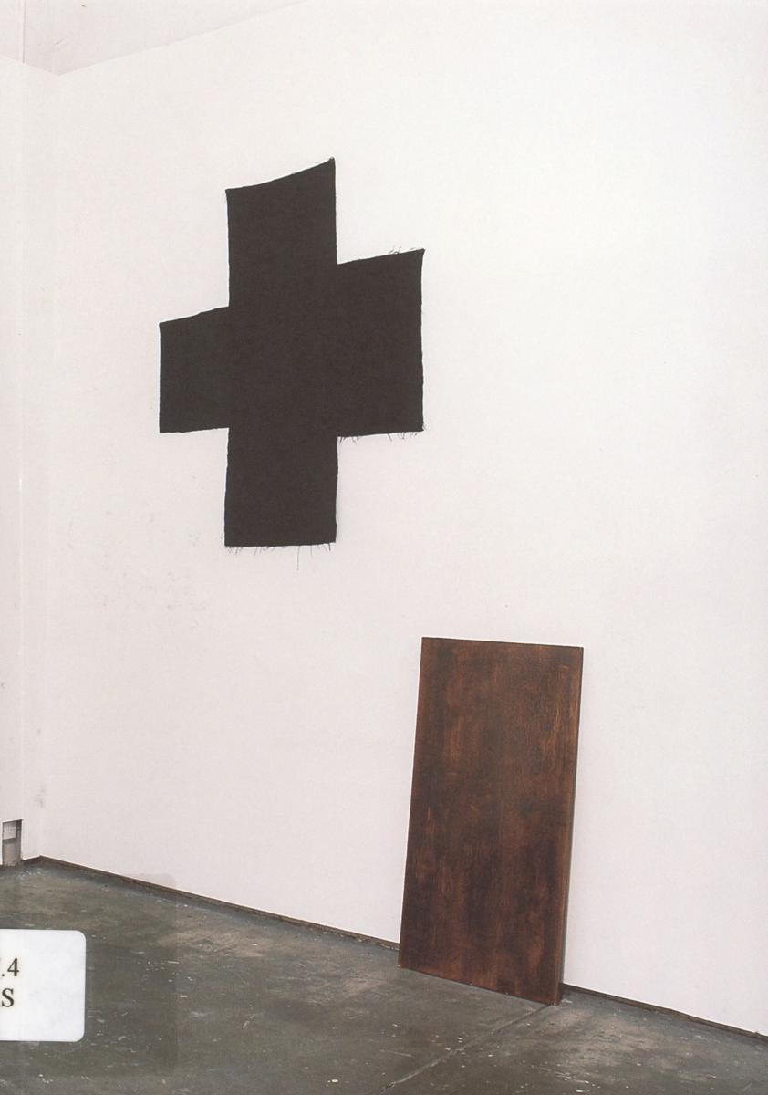 The unprecedented dark light of the new letters : Lizzy Newman cover