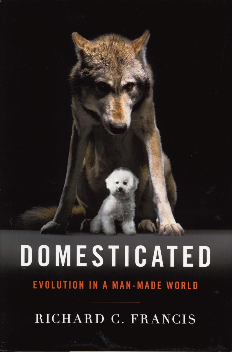 Domesticated : evolution in a man-made world / Richard C. Francis cover