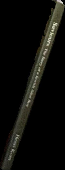 Saviours: The Story of a Jewish Altar Boy spine