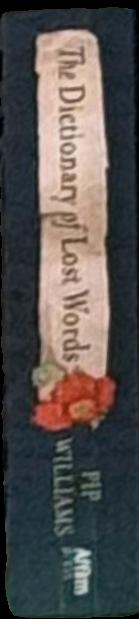 The Dictionary of Lost Words spine