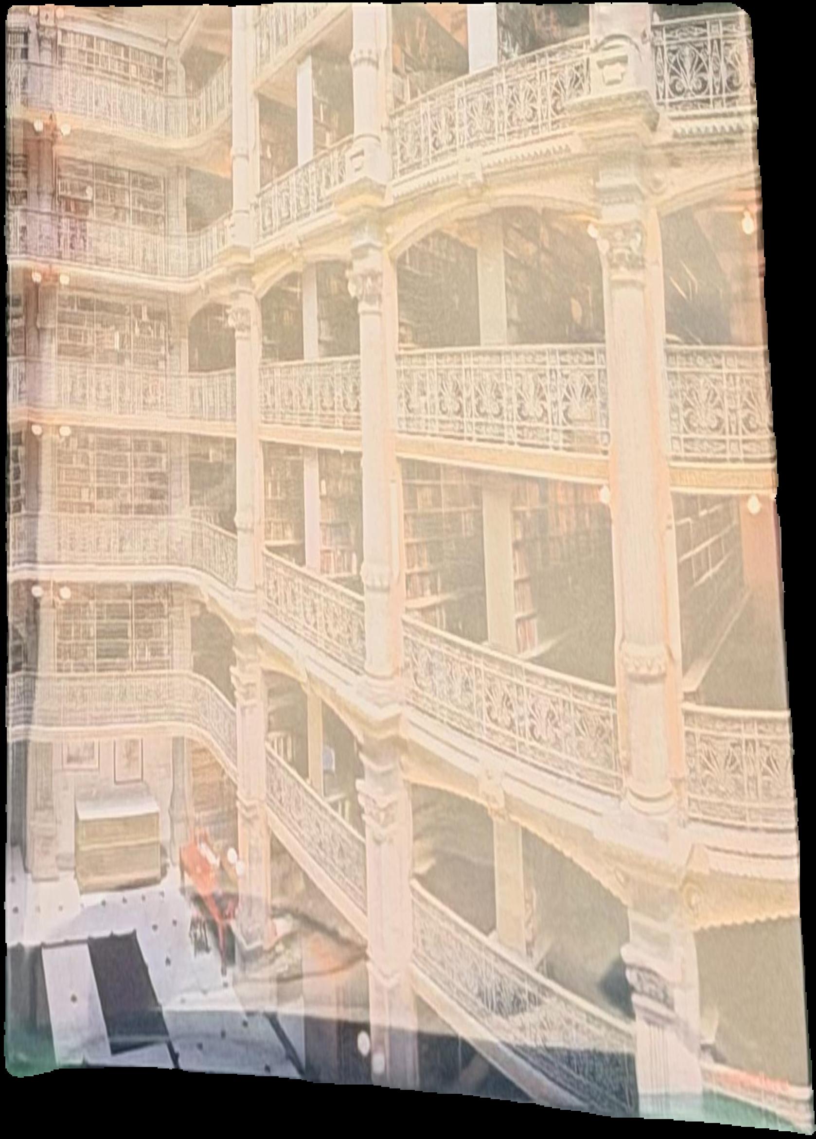 The library book / photographs and afterword by Thomas R. Schiff ; introduction by Alberto Manguel live cover