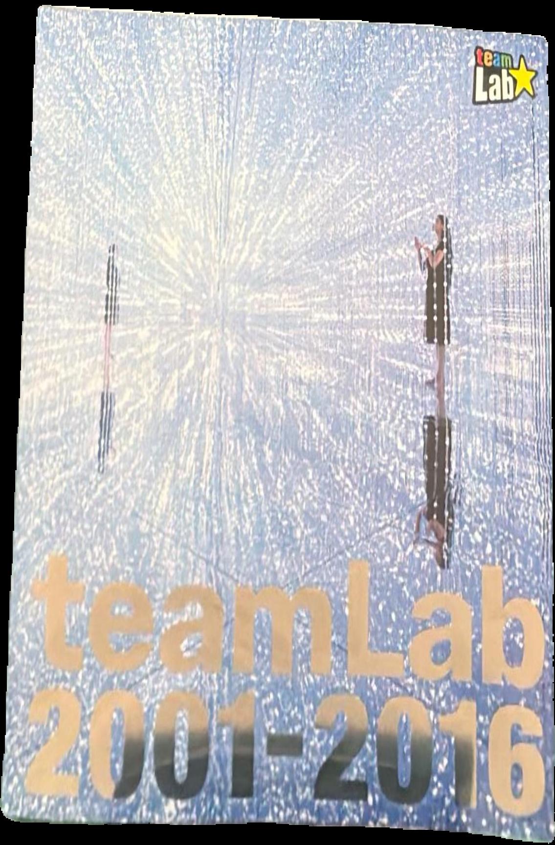 teamLab 2001-2016 live cover
