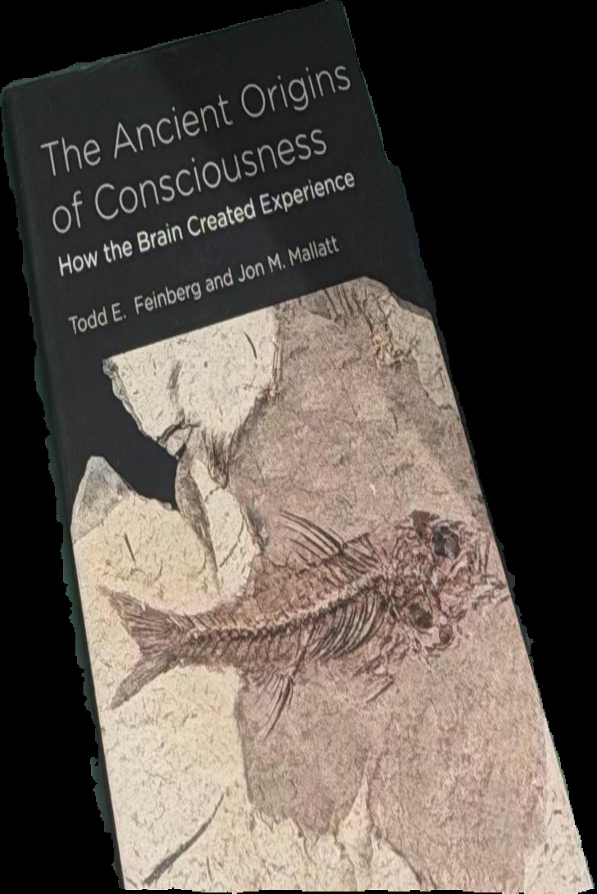 The ancient origins of consciousness : how the brain created experience live cover