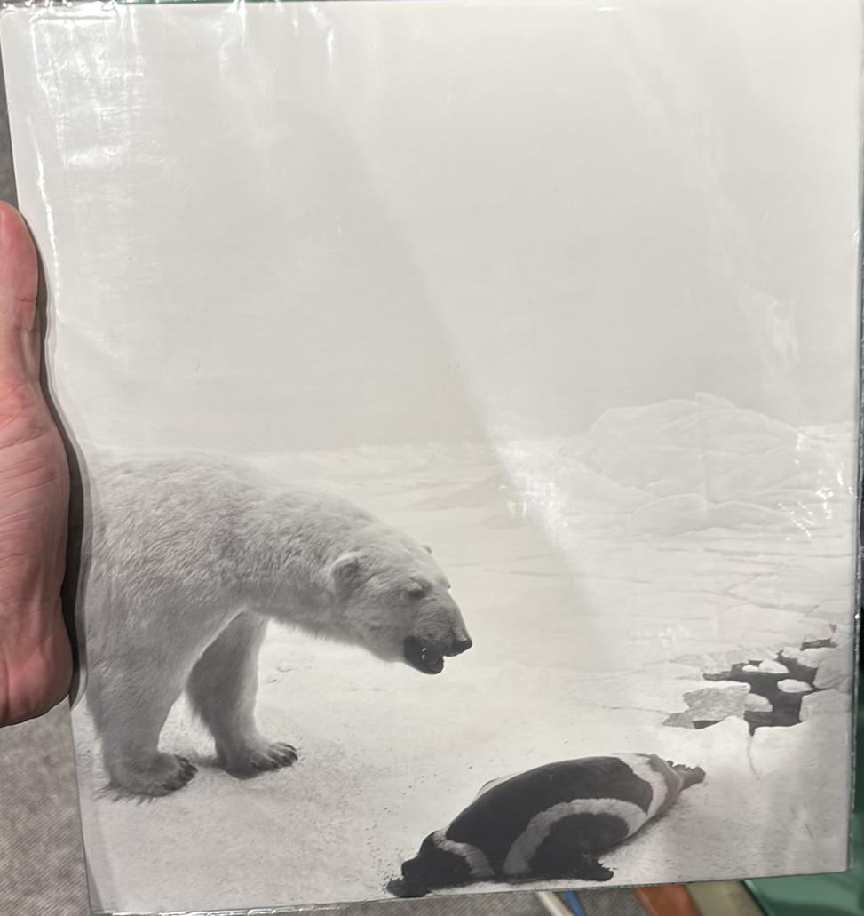 Hiroshi Sugimoto : Dioramas live cover