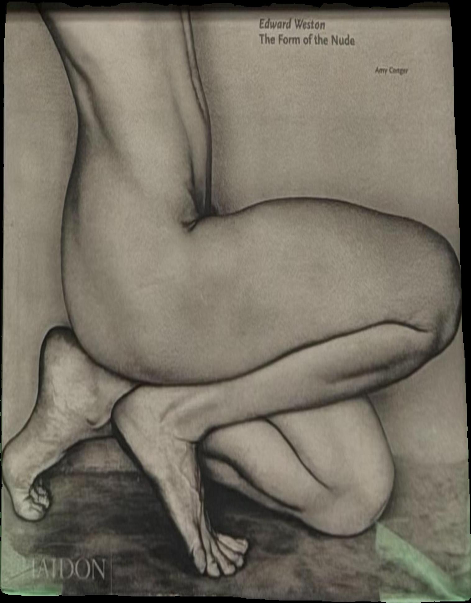 Edward Weston : the form of the nude live cover