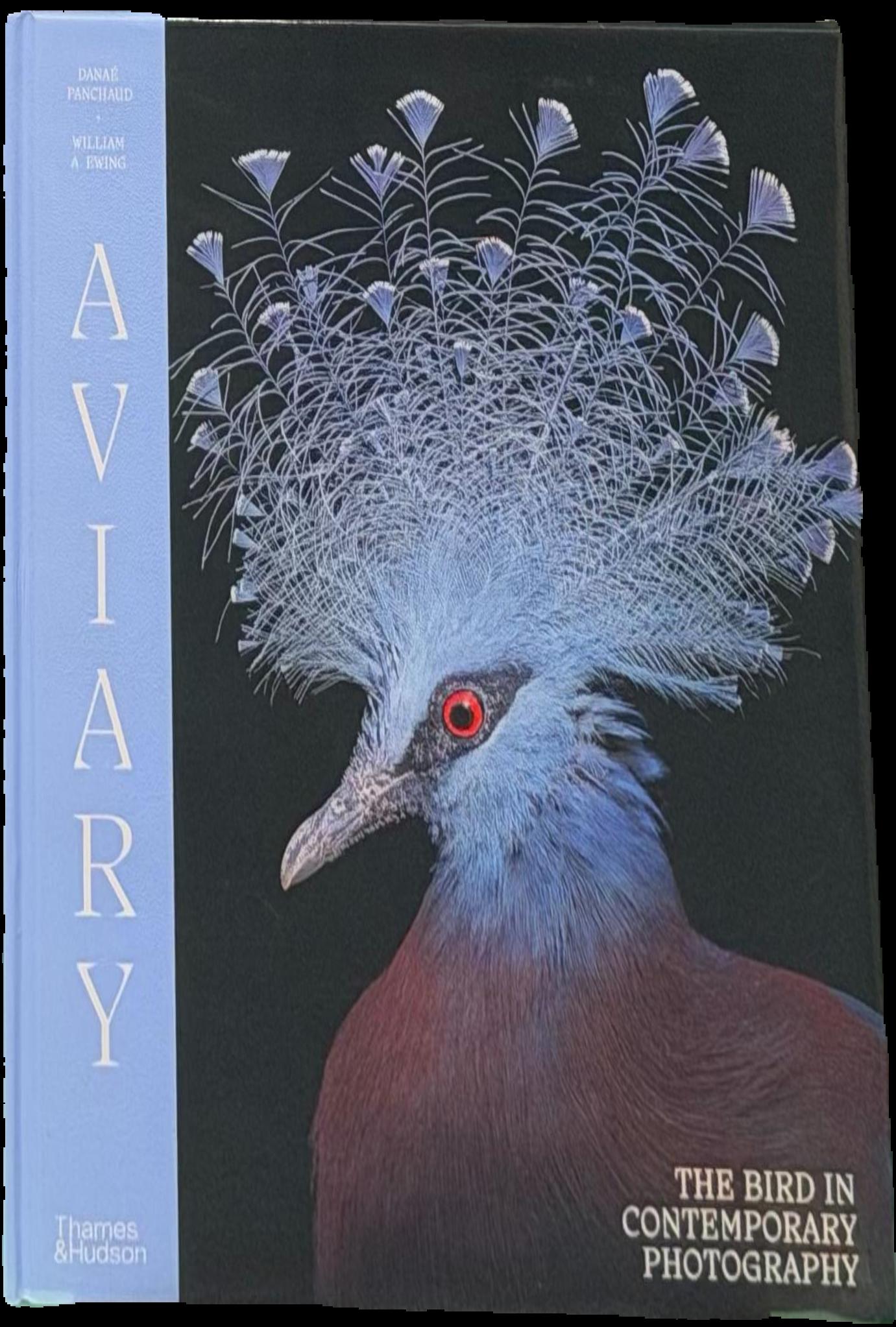 Aviary : the bird in contemporary photography live cover