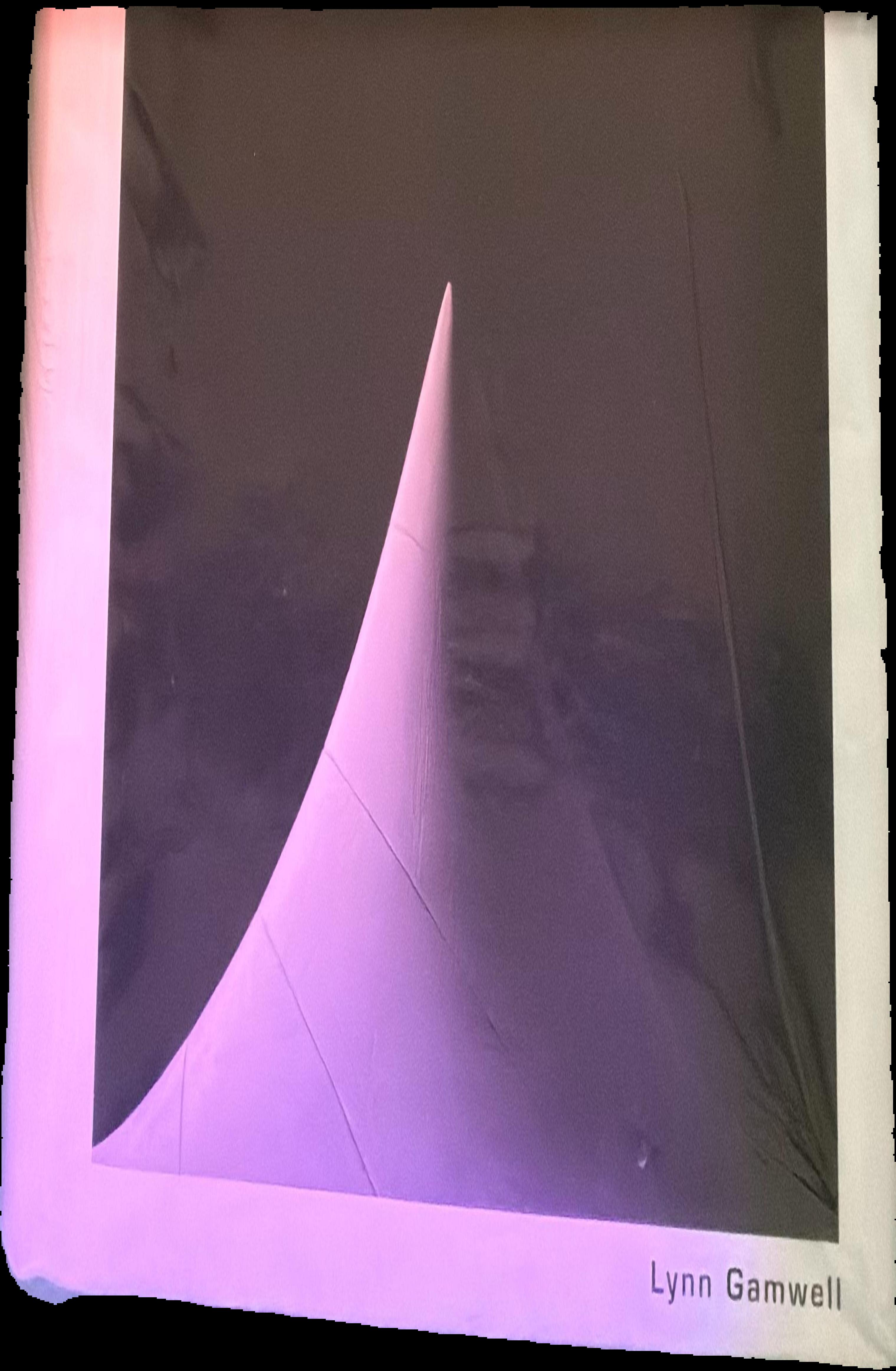 Mathematics + art : a cultural history / Lynn Gamwell ; foreword by Neil deGrasse Tyson live cover