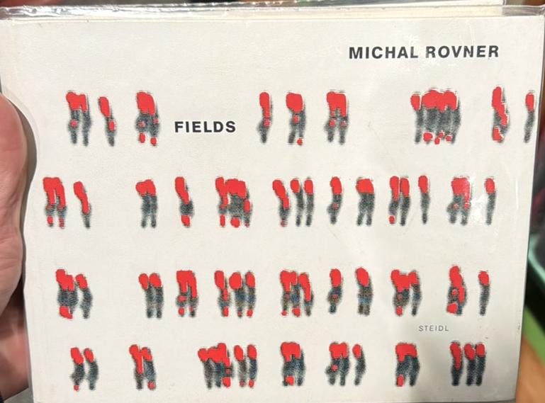 Michal Rovner : the space between / Sylvia Wolf ; essay by Michael Rush ; conversation between Michal Rovner and Leon Golub live cover