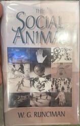 The social animal live cover