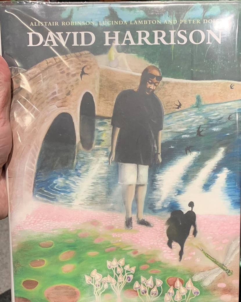 David Harrison / Alistair Robinson, Lucinda Lambton, Peter Doig live cover