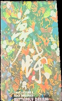 Song Ling : when we were young / Niagara Galleries Melbourne live cover