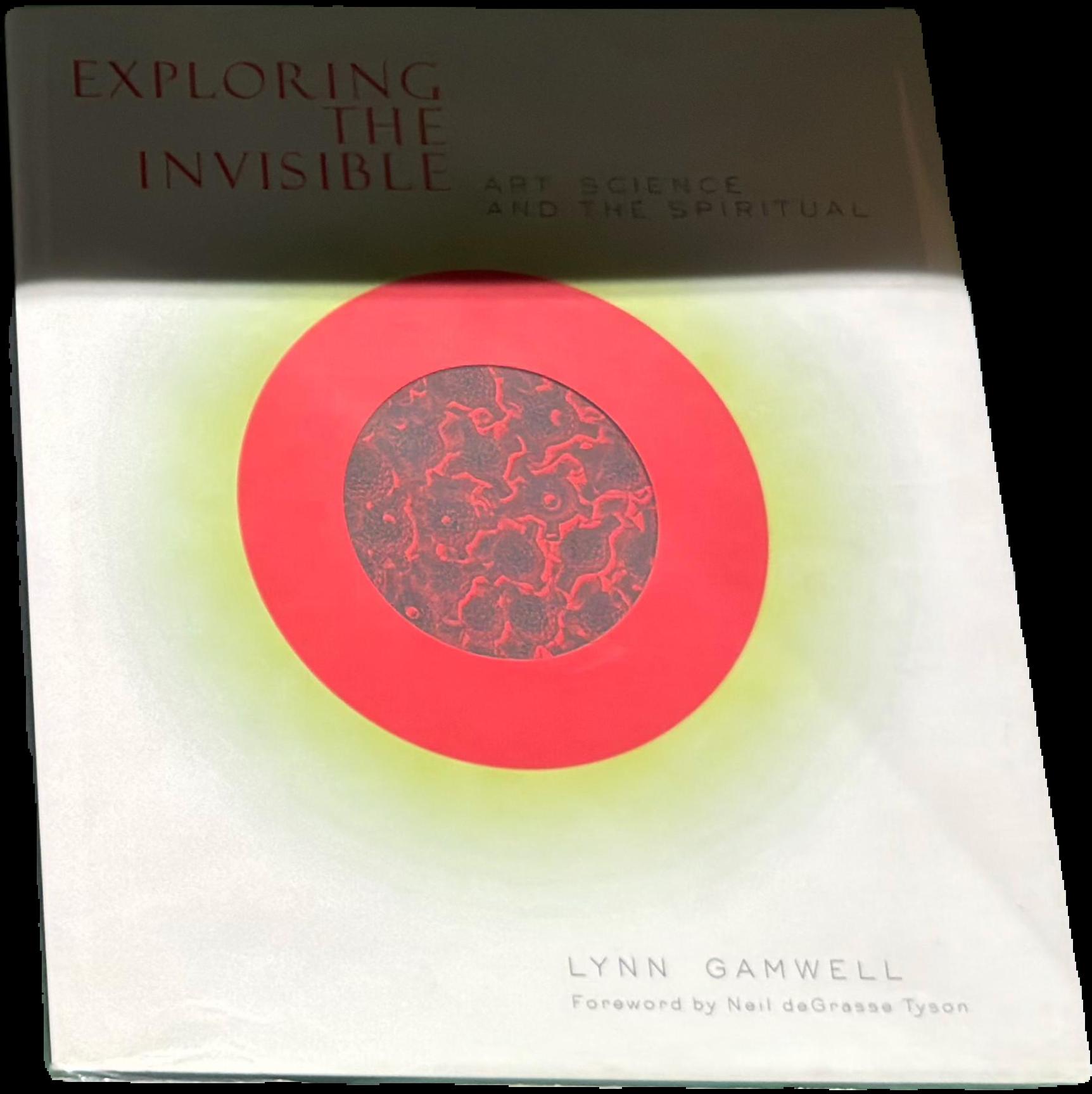 Exploring the invisible : art, science and the spiritual live cover