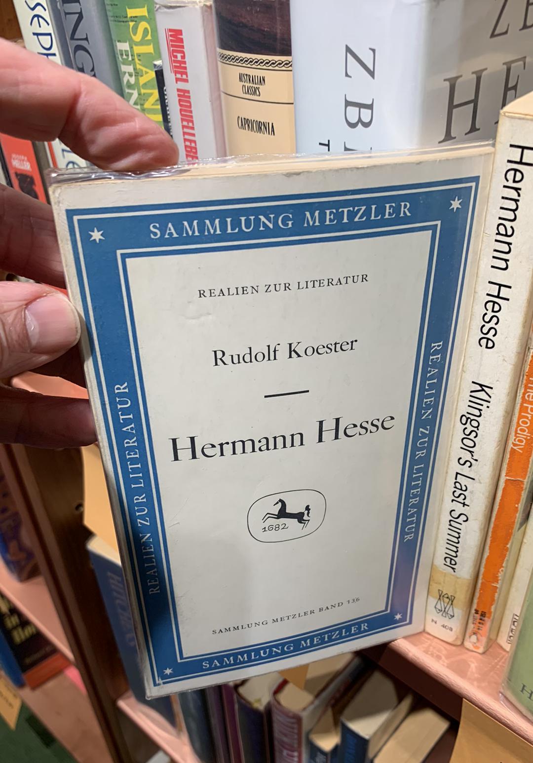 Hermann Hesse / Rudolf Koester live cover