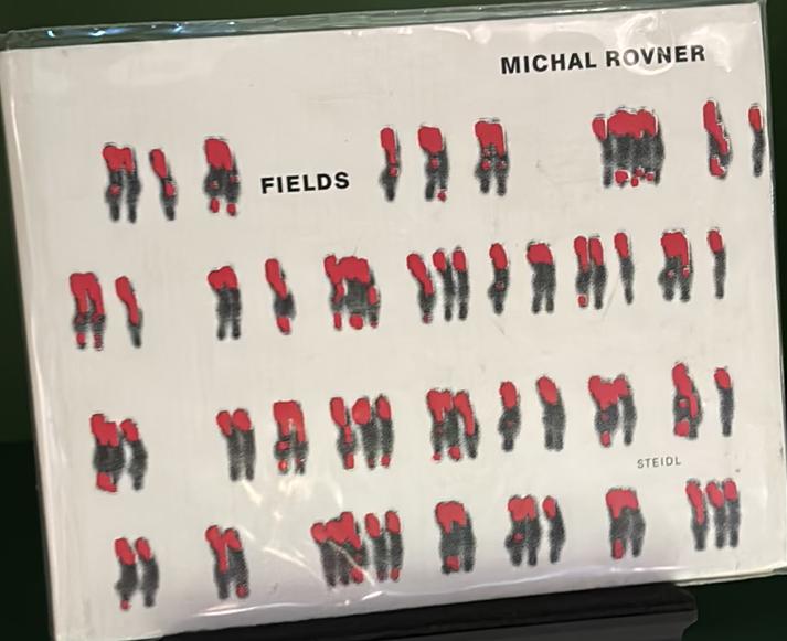 Michal Rovner : Fields live cover
