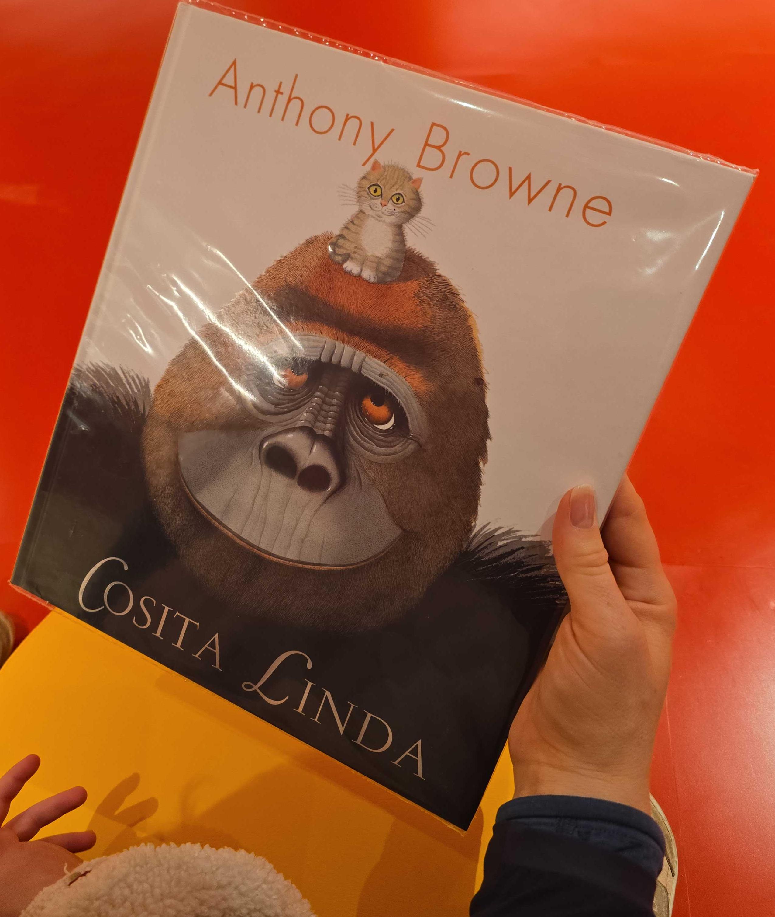 Cosita linda \ Anthony Browne live cover